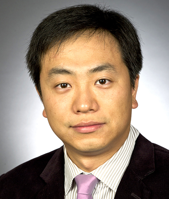 Dr. Shouyi Wang